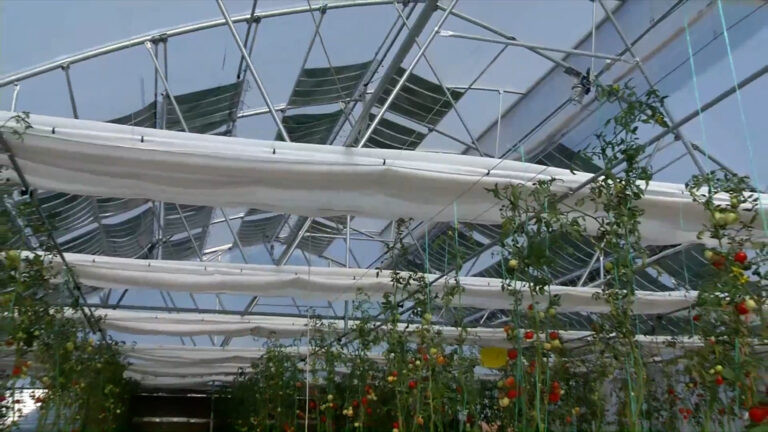 Φωτοβολταϊκά 3ης γενιάς στην αγροτική παραγωγή