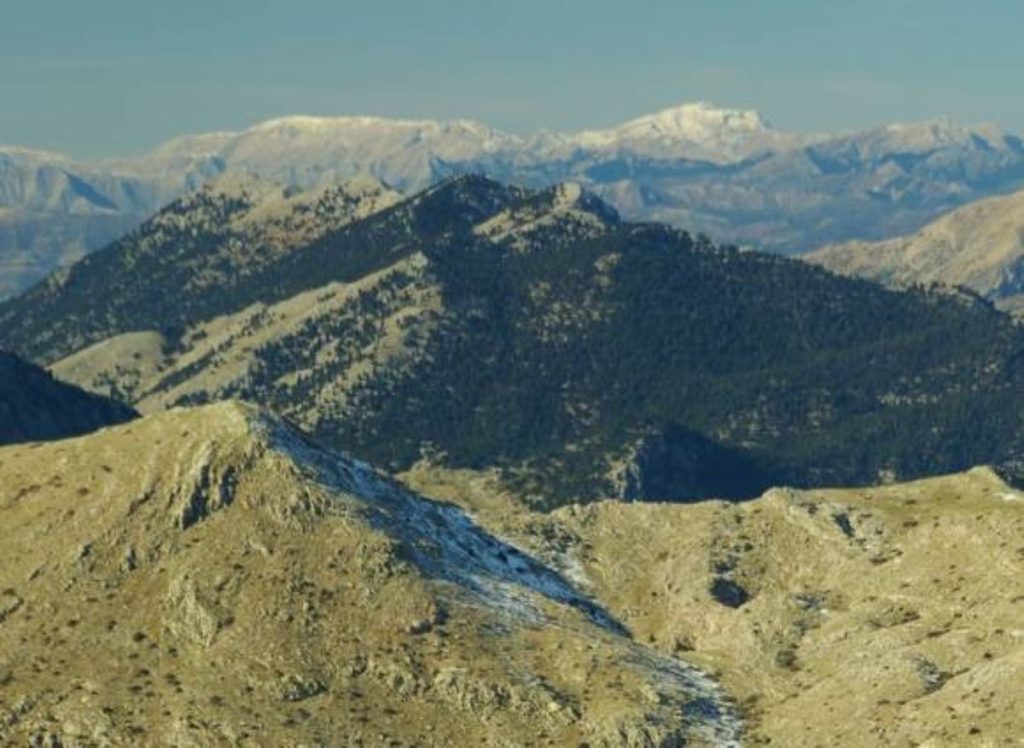Ορειβατική εξόρμηση στον Ολίγυρτο με τον ΕΟΣ Σπάρτης